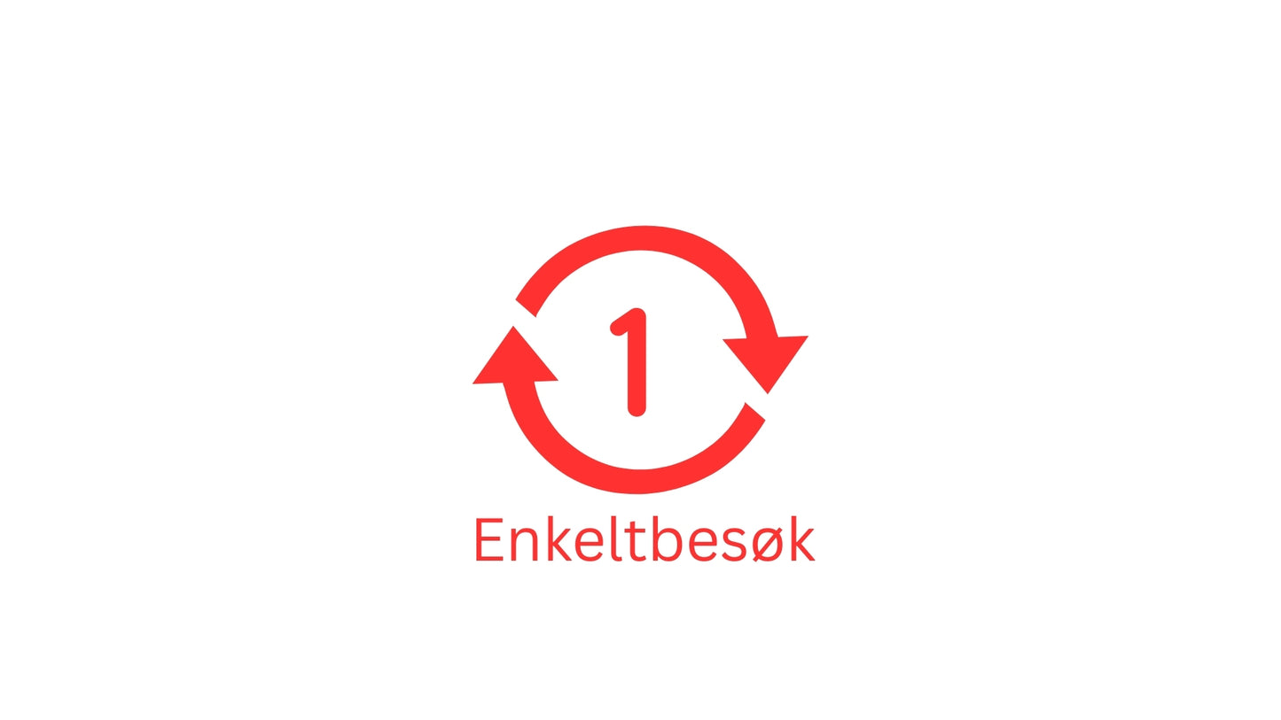 Enkeltbesøk