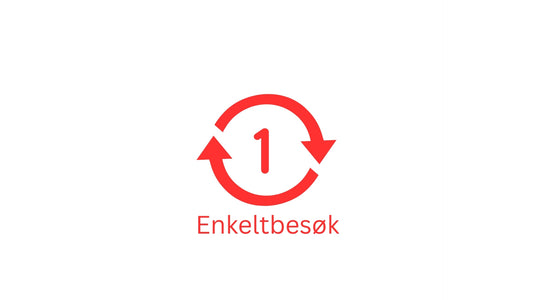 Enkeltbesøk